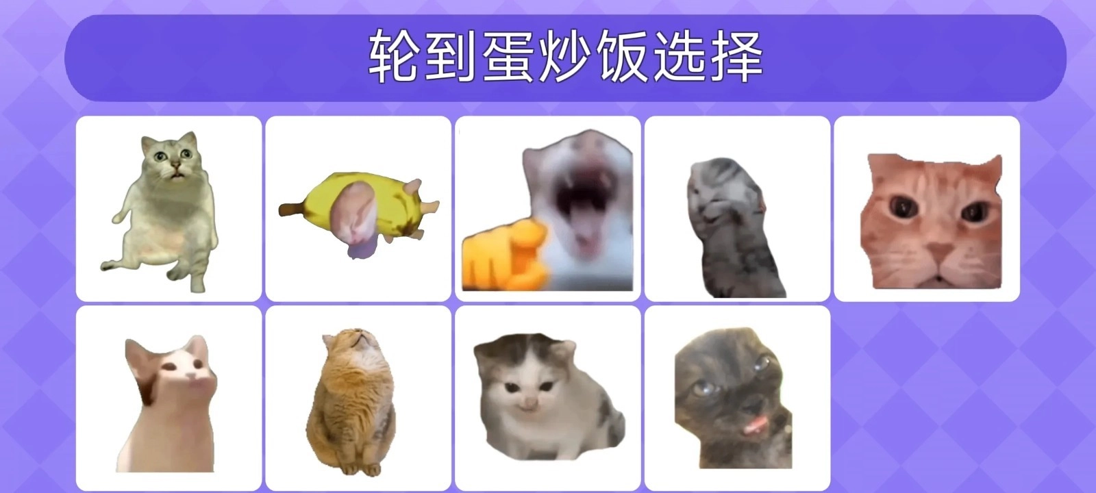 女巫的毒药猫meme版图2
