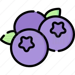 蓝莓音乐软件 &nbsp;v2.0