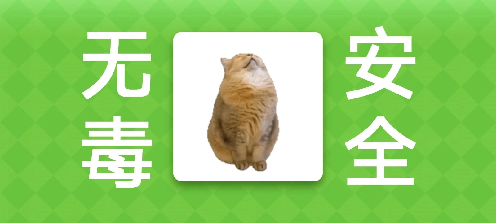 女巫的毒药猫meme版图4