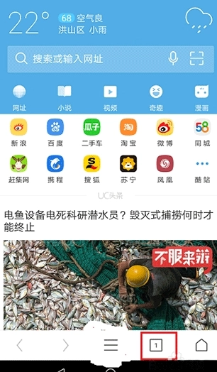 UD浏览器专业版