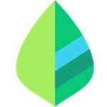 薄荷记账高级版  v11.4.2