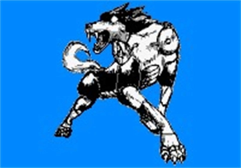 JOJO的奇妙冒险第七位替身使者手机版