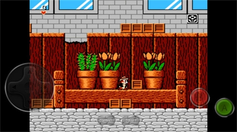 松鼠大战手机版安装包下载