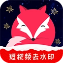 飞狐视频去水印