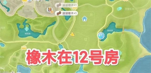 快来了解心动小镇5.9版本中溜溜橡木与无瑕萤石的具体位置