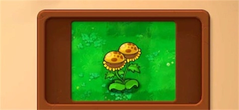 植物大战僵尸融合版NIEJO版