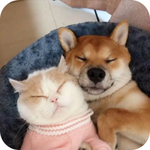 萌趣猫狗翻译器  v1.2.8