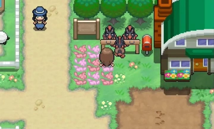 宝可梦蛋白石手机版图3