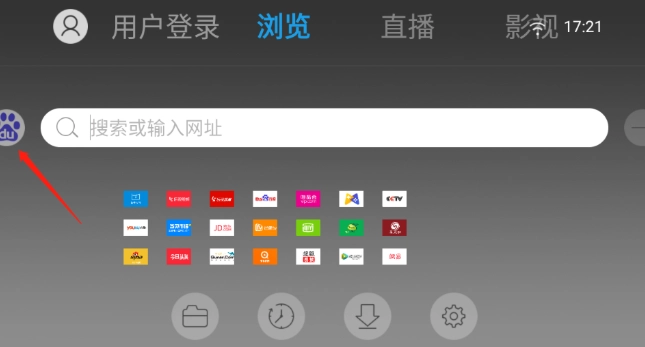 飞视浏览器领先版图7