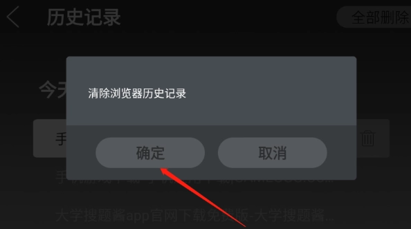 飞视浏览器领先版图2