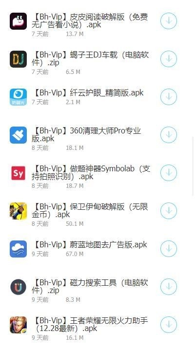 BhVip软件库4