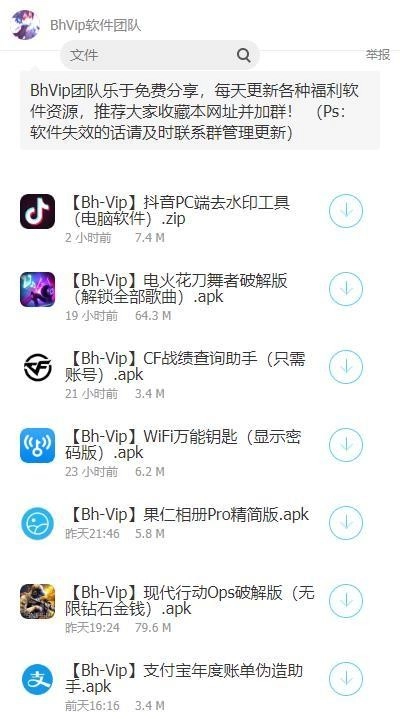 BhVip软件库1