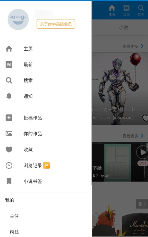 pixiv高级版