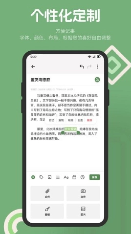 红薯编辑器reditor(3)