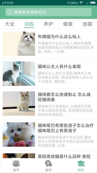 猫咪翻译