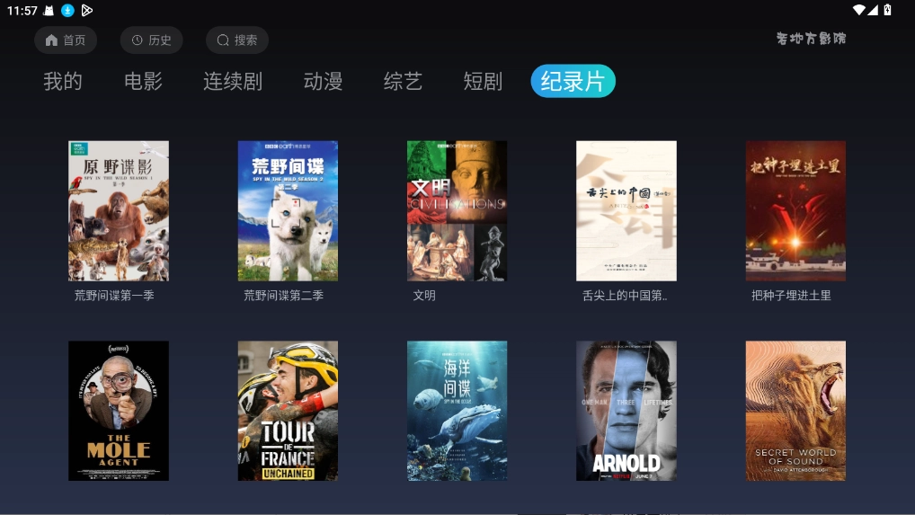 老地方影院TV版