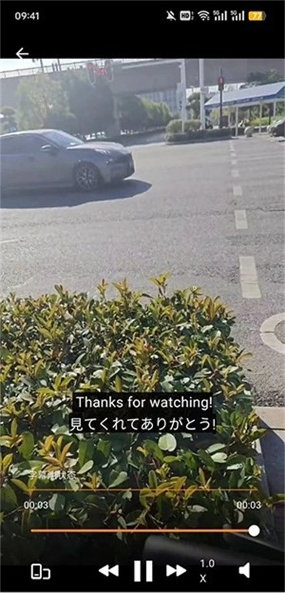 SubCat翻译猫图1