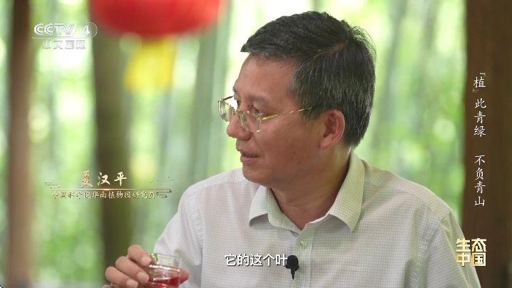 全频播tv电视版(2)