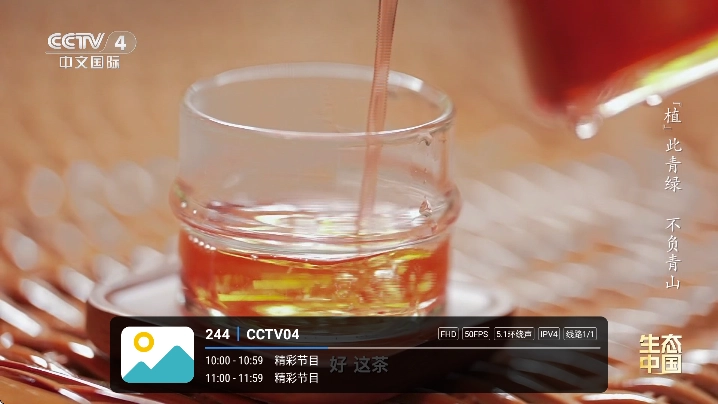 全频播tv电视版(4)