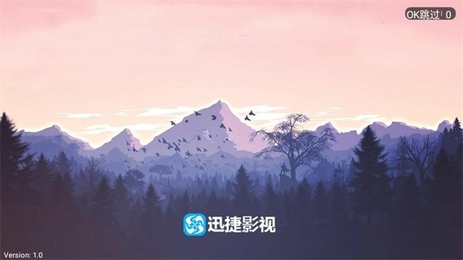 迅捷影视电视版