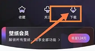 大众动态壁纸免费版