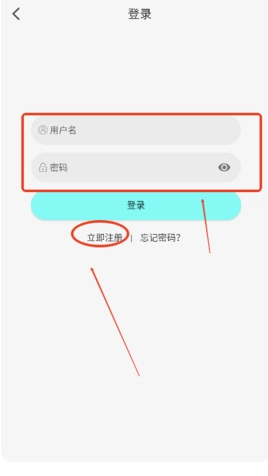 次元派对纯净版-图13