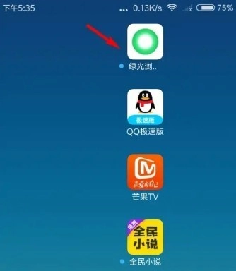 SGreen浏览器最新版图7