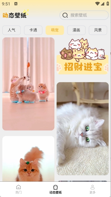 免费美图壁纸(2)