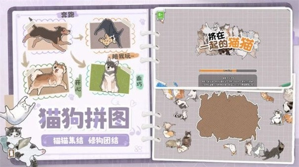 挤在一起的猫猫正版(3)