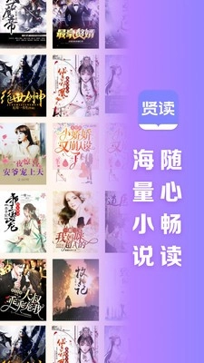 贤读小说免费版(1)
