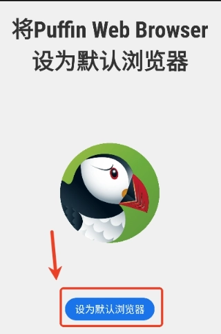 puffin浏览器专业版