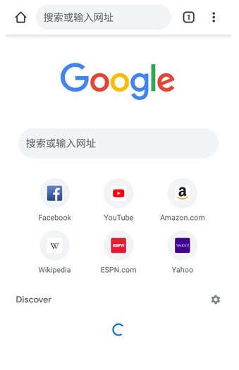 Chrome浏览器中文版图18