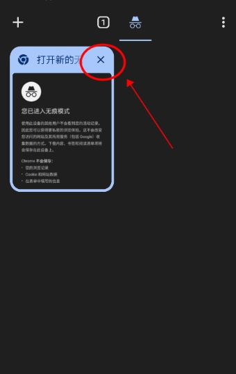 Chrome浏览器中文版图10