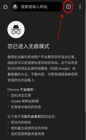 Chrome浏览器中文版图11