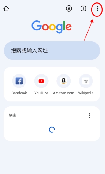 Chrome浏览器中文版图9