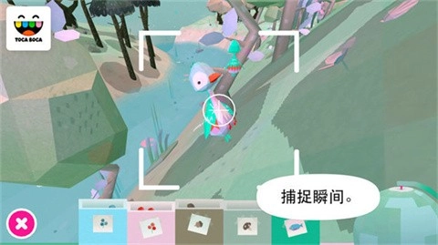 托卡大自然正版(4)