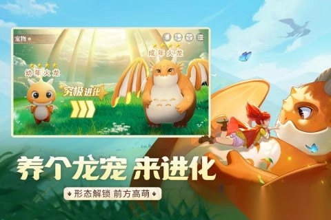 龙骑士学园手游最新版图1