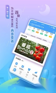 墨迹天气app官方版