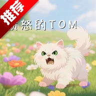 愤怒的TOM游戏手机版