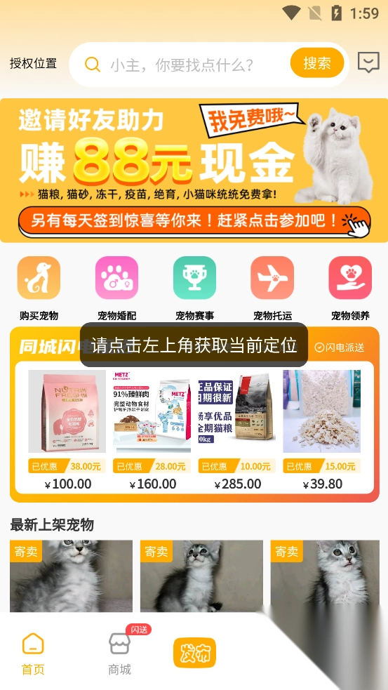 喵鑫球宠物截图3