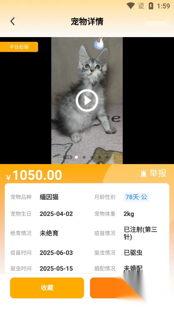 喵鑫球宠物截图2