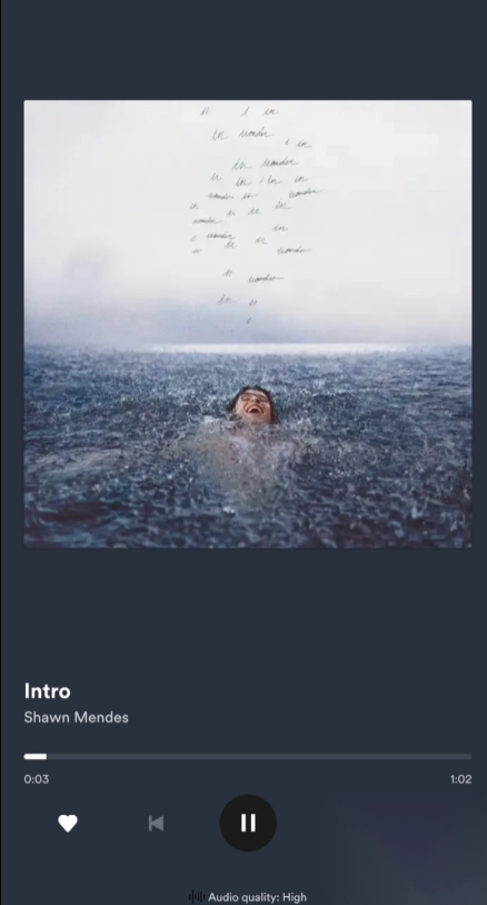 SpotifyLite