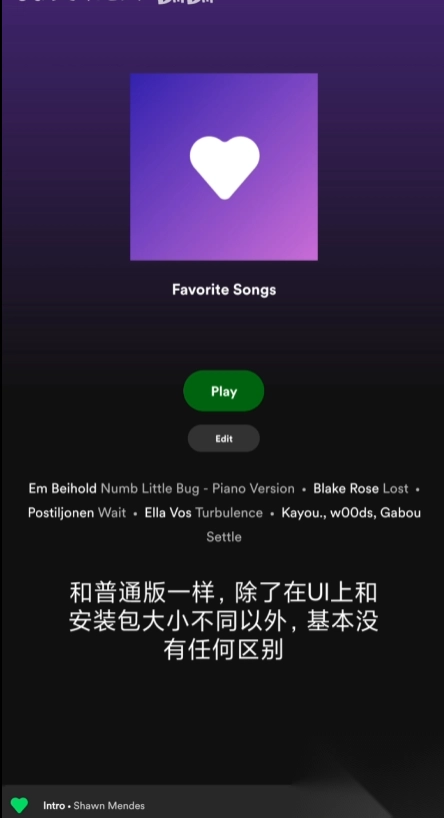 SpotifyLite