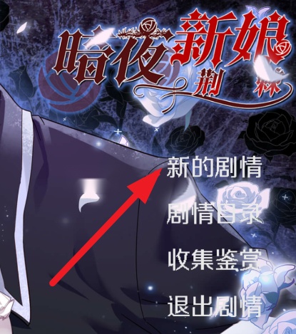暗夜新娘游戏 暗夜新娘游戏