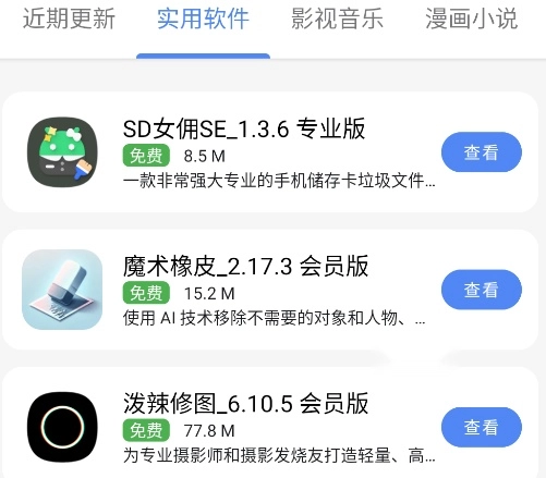 �ڴ�����������