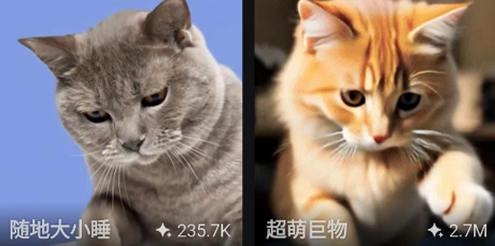 拍我AI正版 拍我AI正版