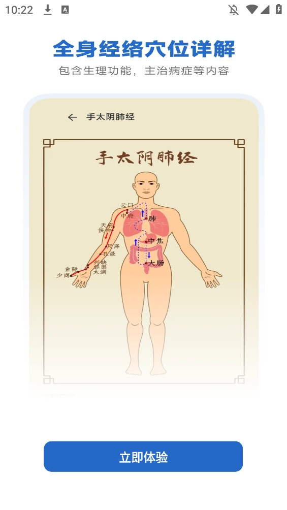 人体解剖图集电子版(2)