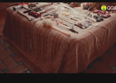 一帧播放器手机版