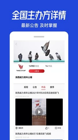 青鸽网4.0.4安卓版-图5