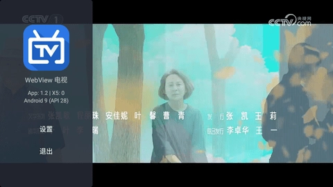 Webview电视版(2)